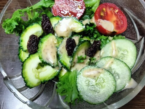 ゴーヤ入り野菜サラダ♡甘いレーズンも